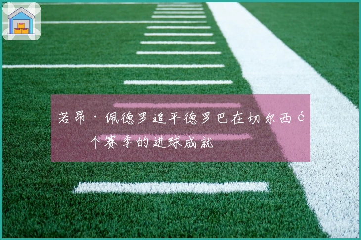 若昂·佩德罗追平德罗巴在切尔西首个赛季的进球成就