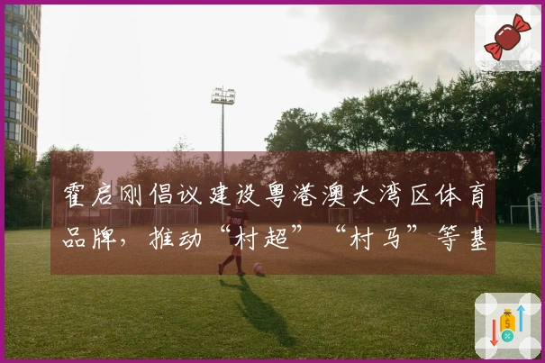 霍启刚倡议建设粤港澳大湾区体育品牌，推动“村超”“村马”等基层体育活动发展