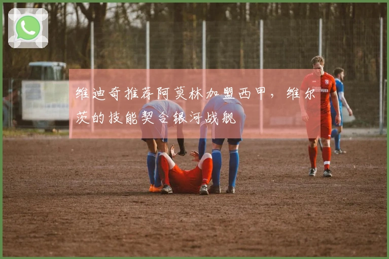 维迪奇推荐阿莫林加盟西甲，维尔茨的技能契合银河战舰