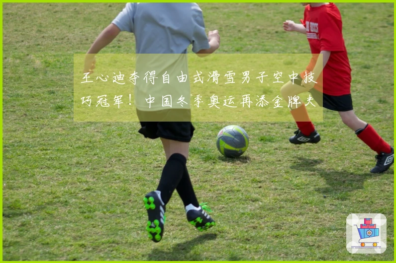 王心迪夺得自由式滑雪男子空中技巧冠军！中国冬季奥运再添金牌夫妻！